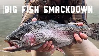 Catching Big Trout On The Little Red River Pt. 2