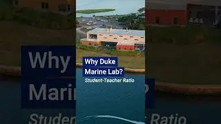 Why Duke Marine Lab?  Student - Faculty Ratio