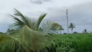 Weather of Karachi | Beli Bag | Beautiful Malir