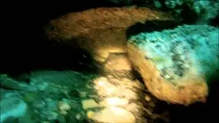 Подготовка сборной Волгоградской области к соревнованиям по подводной охоте.