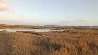 Norfolk Birdwatching