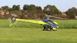 Goblin 770 at Freestyle Flyers