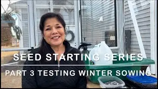 Seed Starting Part 3: Testing 3 Winter Sowing Methods For the Garden