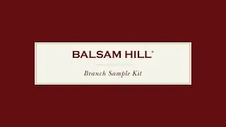 Branch Sample Kit | Balsam Hill&reg; Tree Lot