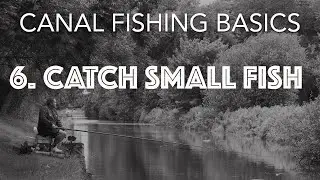 How To Catch Small Canal Fish