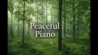 Relaxing Piano for Sleep, Stress Relief & Calm Mind | 3 Hours