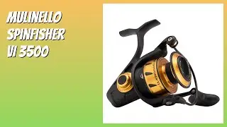 RECENSIONE (2025) : Mulinello Spinfisher VI 3500. DETTAGLI