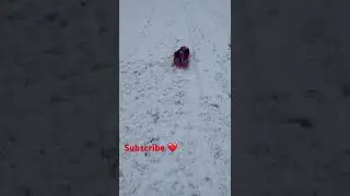 Sleighing 🛷 Down ⬇️Snow Hill ❄️ Hill Part1️⃣ #snow #sleighing #snowhill