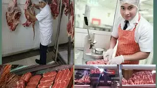 MY WORK AS A BUTCHER