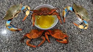 Nags Head Blue Crabs | Catch Clean & Cook!