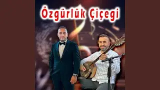 &Ouml;zg&uuml;rl&uuml;k &Ccedil;i&ccedil;eğimsin