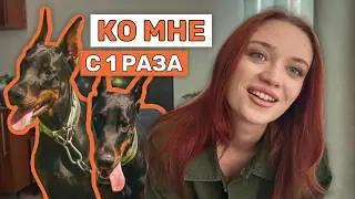 Собака игнорит КО МНЕ | Причины и как исправить | Мой опыт с Варварой