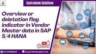 Overview or deletation flag indicator in Vendor Master data in SAP S/4 HANA