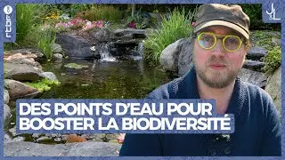 Des points d'eau dans votre jardin pour booster la biodiversit&eacute; | Jardins et Loisirs