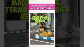 macan viral bikin ngakaaak