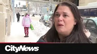 Manitoba Public Insurance releases Top 5 fraudsters of 2025