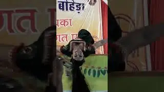 गोरी नागोरी का सुपरहिट डांस ..बोहेड़ा मेला 2019