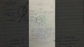 Structure and function of human eye 👁️|| classification and Definitions of EyE #trending #shorts ￼
