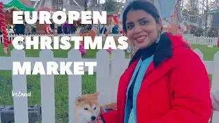 Ireland 🇮🇪 Vlog! Europen Christmas Market,Indian Family in Ireland 🇮🇪 #vlog #dailyvlog g