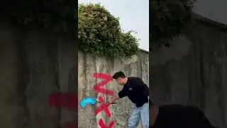 mural  painter in nature✅