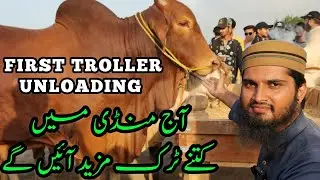 FIRST TROLLER UNLOADING! Aaj Or Kitne Trucks Cow Mandi Aaenge? Cattle Market Karachi