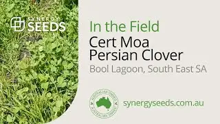 Craig with Bruce Mclean Moa Persian Clover - Synergy Seeds Australia