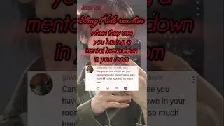 Stray Kids reaction (When they see you having a mental breakdown in your room) #kpop #skz #reaction