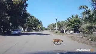 » Ruta desde Ciudad Pedro de Alvarado hasta la Playa La Barrona, #Moyuta, #Jutiapa, #Guatemala