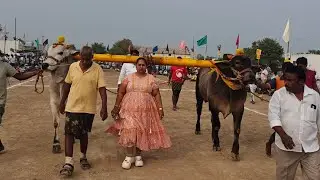 మొర్జంపాడు 6పళ్ళు 4జత ఆలా రాజేష్ యాదవ్ గారు+MKM బుల్స్ మేస్త్రి ఖాదర్ మస్తాన్ గారు పెదకాకాని