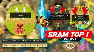 Dofus Touch | Sram Bonta G4 en PvP Vs Ani Brak G10 y Tyma Brak G5 ☠️🪽❌🐰💣 (Parte 2)