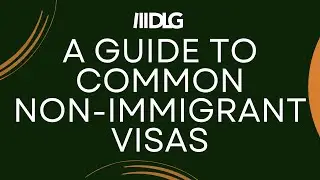 A Guide to Common Non-Immigrant Visas