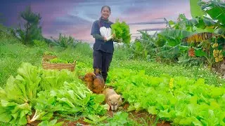 Harvest Mustard Greens To Sell At The Market &ndash; Cooking &ndash; Gardening &ndash; Animal Farming