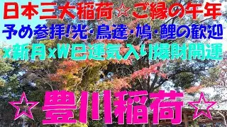 【お稲荷様ご縁年予め参拝1】【龍神仏閣2】豊川稲荷☆日本三大稲荷☆豊川吒枳尼真天☆虹龍入る光・鳥の囀り・鳩・鯉の神様歓迎x蠍座新月xダブル巳の運気入り、財運爆上昇龍開運☆実体感型・遠隔参拝【第87弾】