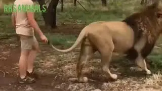 Pet and Wild animals are so funny style in this video.@BraveWilderness @thewillyrex