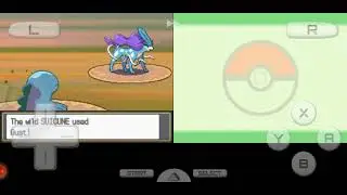 Pokemon heart gold gameplay part 29(catching suicune)