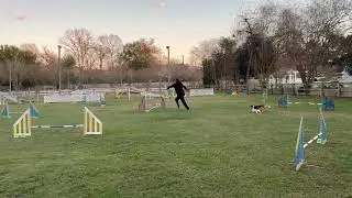 Masters Jumpers 115403-11481 Dutch