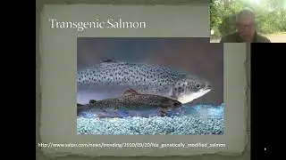BIO 101 Lecture 11 - transgenic organisms