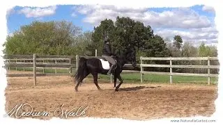 Naturally gaited medium walk