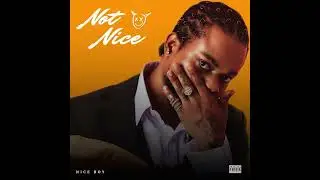 Niceboy - Not Nice (Audio)
