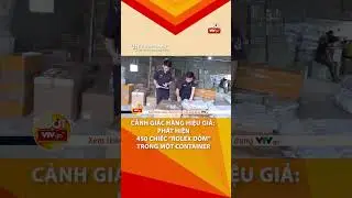 THU GIỮ 450 ĐỒNG HỒ GIẢ NH&Atilde;N HIỆU ROLEX.  #luotvtvgo #tintuc #news #vtvgo #vtv #dongho