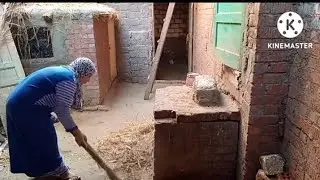 روتين تنظيف عند الطيور مع يوم جميل ❤️❤️