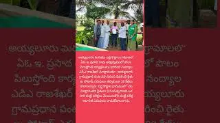 #agriculture #nandyal 3 October 2024