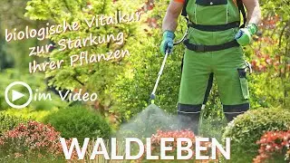 WALDLEBEN &ndash; die biologische Vitalkur f&uuml;r Ihre Pflanzen &ndash; aus der Natur, f&uuml;r die Natur