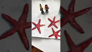 Practice Book Tutorial- Starfish