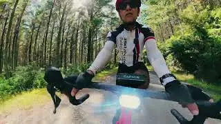 Gravel ride in Riverhead Forest, training for our planned Lake Dunstan Trail ride