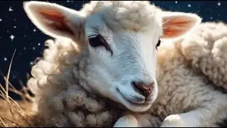 Sch&auml;fchen - Ein Wiegenlied von Ulrich Steier