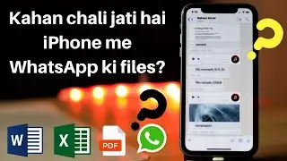 How to locate documents received via WhatsApp in iPhone?