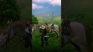 Rare horse in RDR2