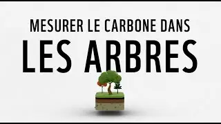 Formation technique sur la mesure du carbone | Arbres