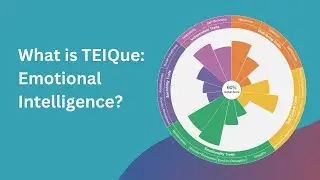 TEIQue Emotional Intelligence Assessment | InterACT Global